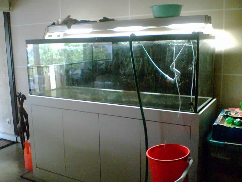 WTS: 6'x2'x2' Tempered glass tank plus cabinet