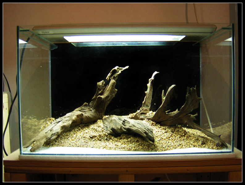 Scape2