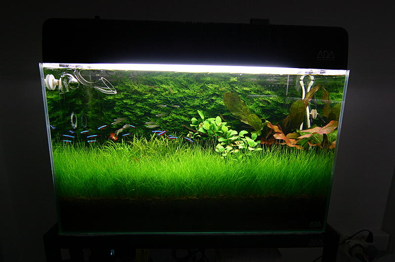 ADA 60 X 30 X 36 2005