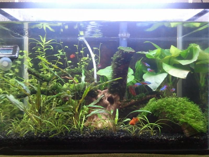 8.9G Nano Tank