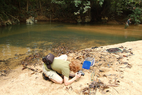 Loach collecting trip