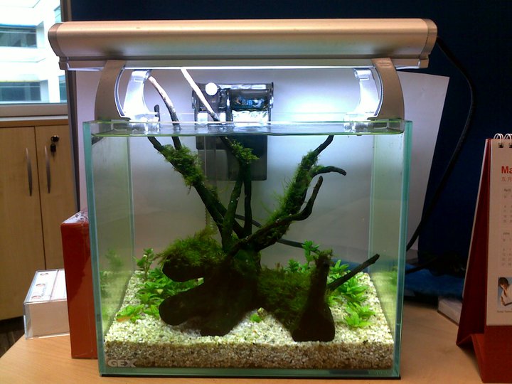 office tank