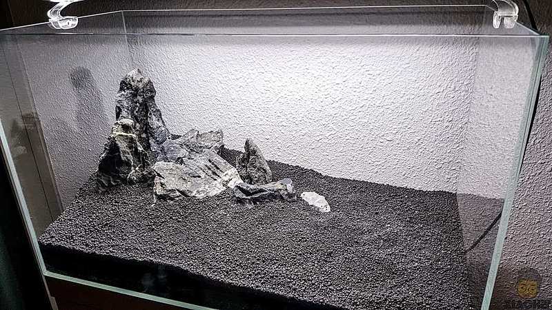 New Scape