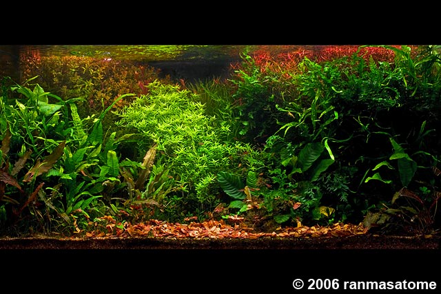 Planted2X640