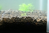 SoilProp035