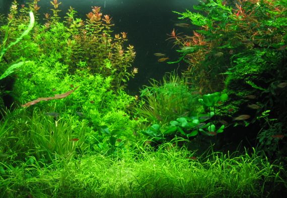 tankstuff076_411071