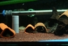 Handmade Ceramic Pleco Caves and Shelter