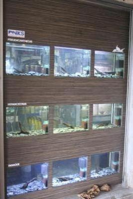 NKS Aquarium Pleco Museum