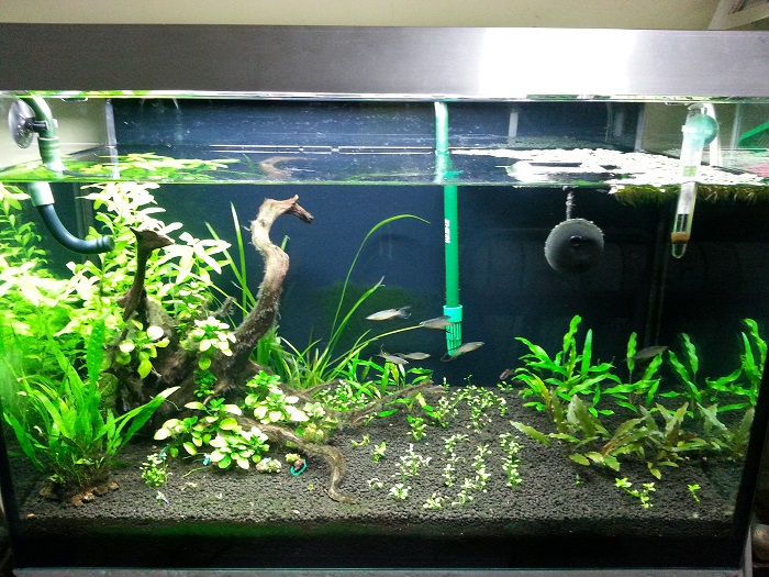 2013 tank updates