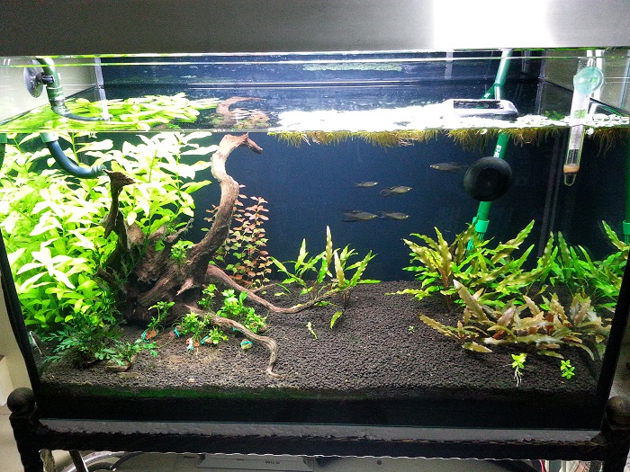 2014 Tank updates 1