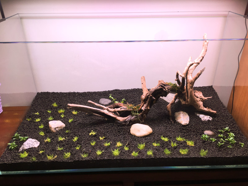 Day 2