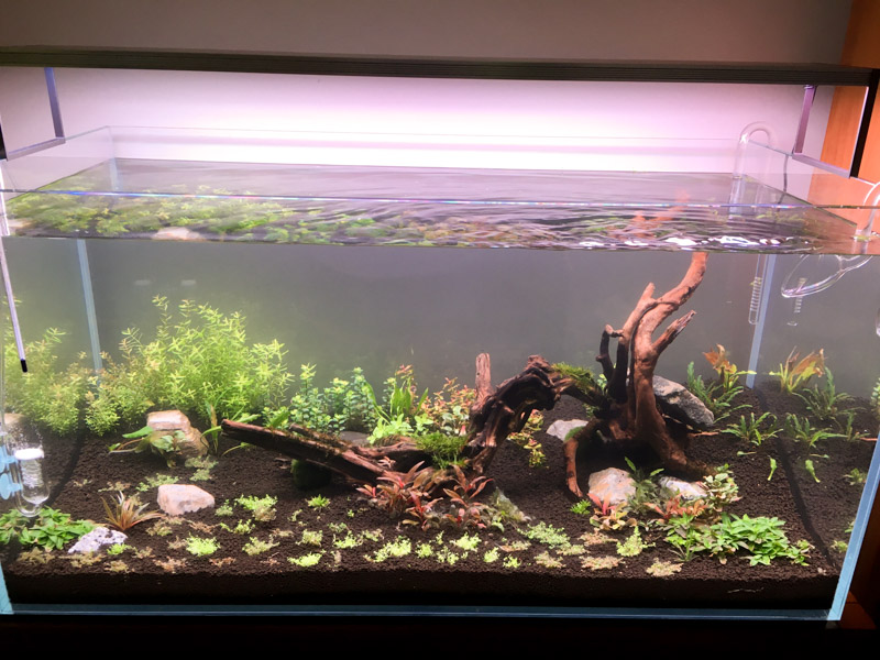 Flooded Tank