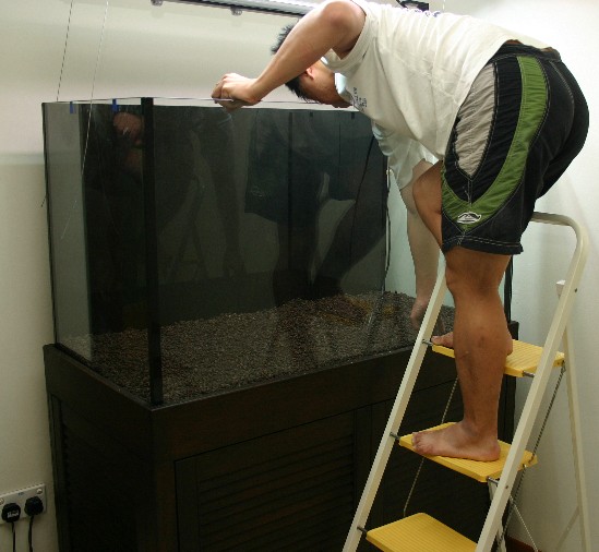Deep Tank and Long Arms