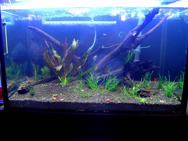 2.5ft Rescape1