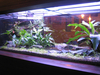 5 ft vivarium