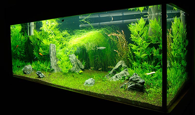 wk3b