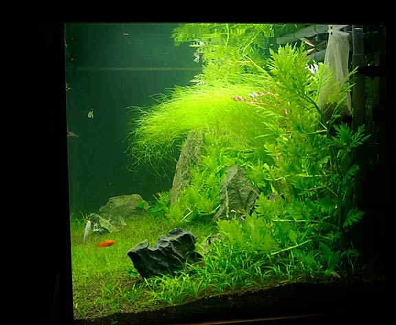 wk3c