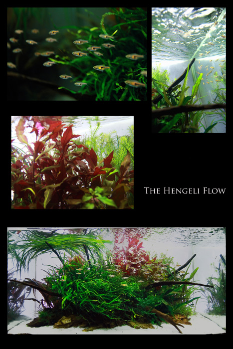 The Hengeli Flow