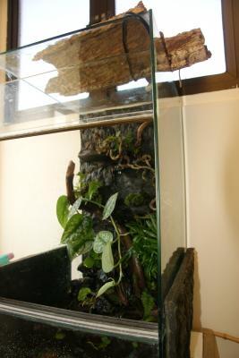 vivarium lateral