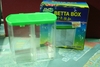 Betta Box