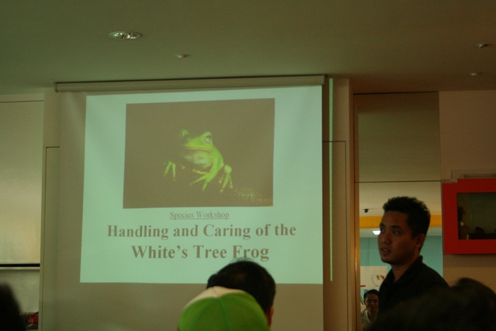 Workshop on White's Tree Frog