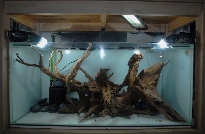 Wood & stones tank