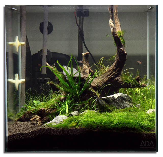 1ft cube rescape again