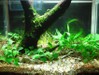 nano tank