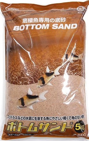 corydoras sand