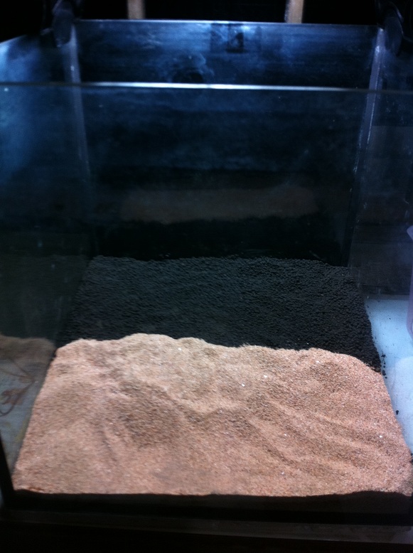 substrate
