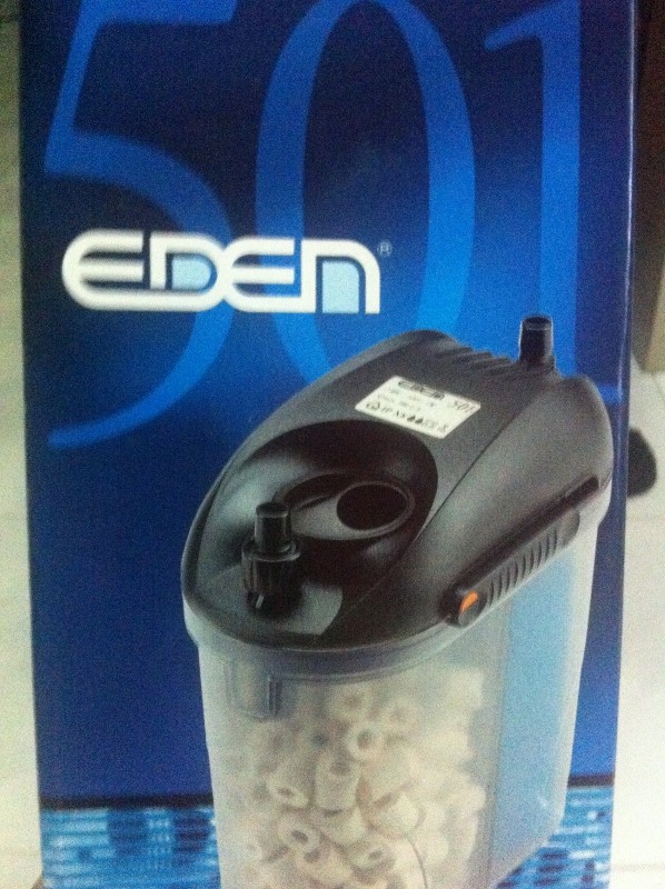 eden 501