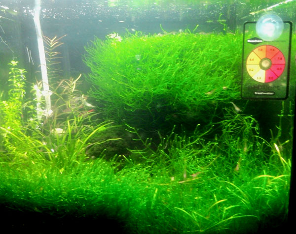 Tank 260109