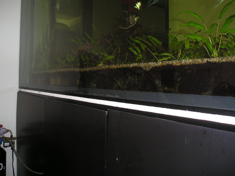 Tank substrate