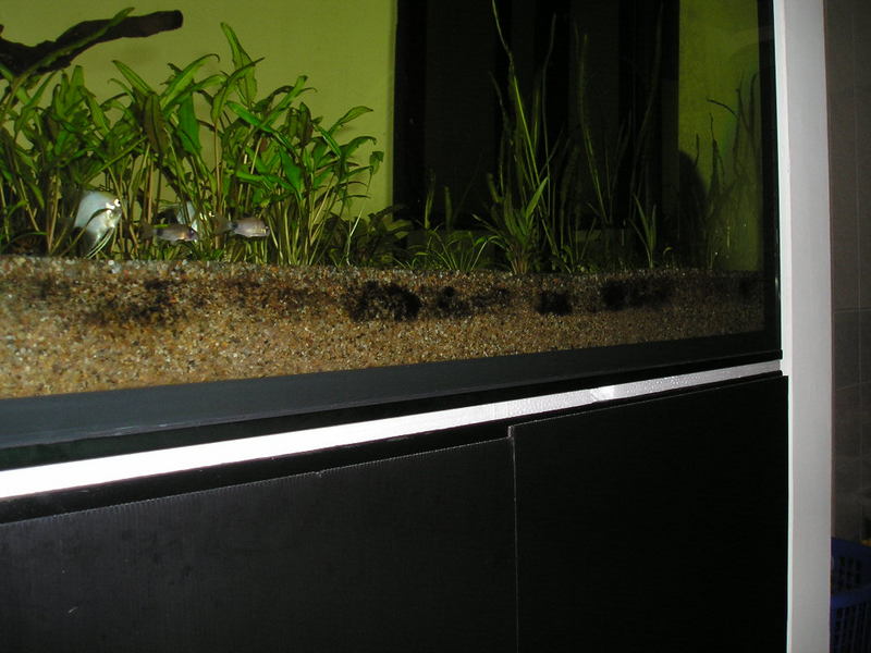 Tank substrate