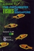 Fishes of singapore