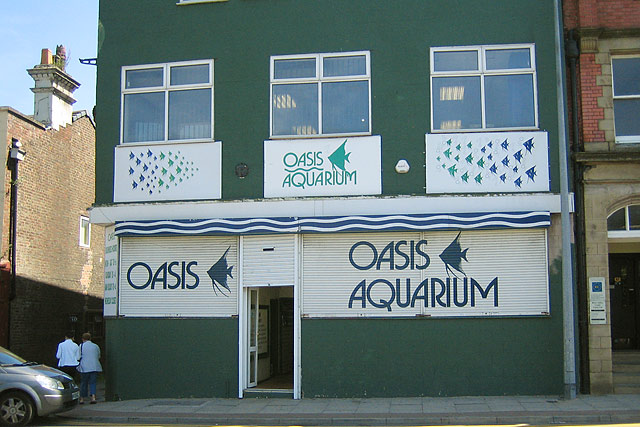 Oasis Aquarium