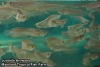 Mainland Tropical Fish Farm