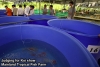 Mainland Tropical Fish Farm