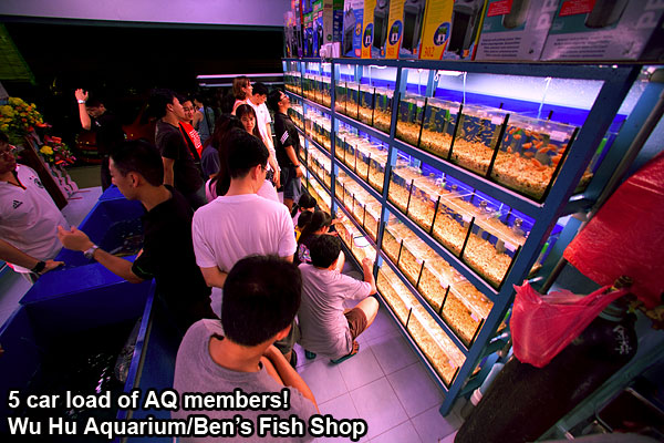 Wu Hu Aquarium