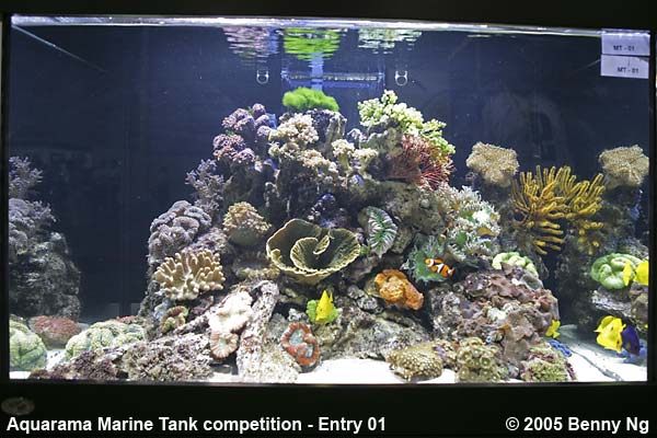 Aquarama Marine Tank Competition