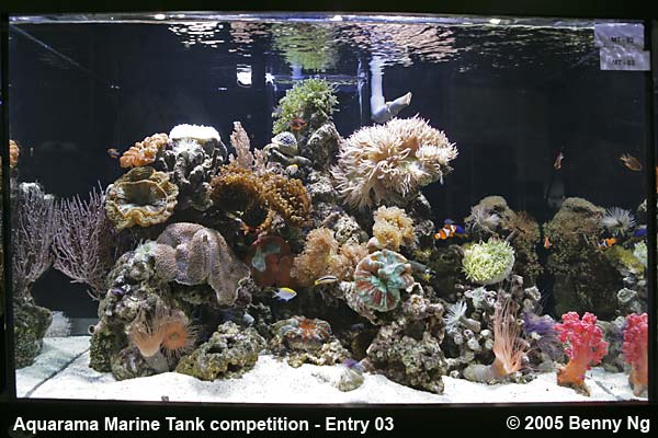 Aquarama Marine Tank Competition