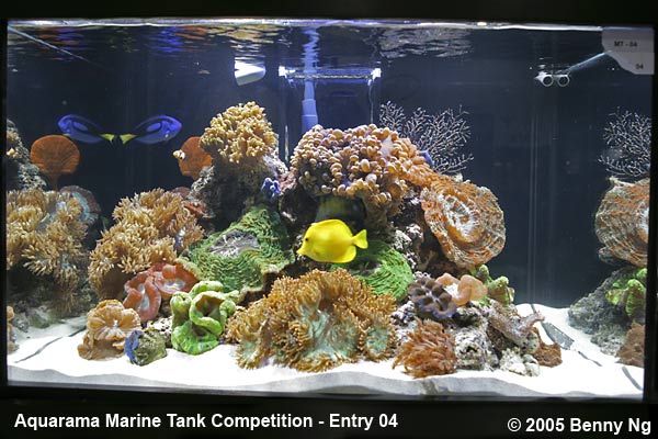 Aquarama Marine Tank Competition