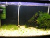 Krad's Tank