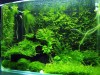 Moss Tank