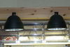 Metal Halide for sale