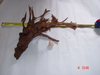 aquascaping wood for sale