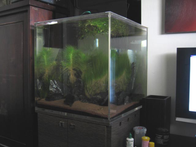 2ft Cube Tank