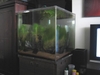 2ft Cube Tank