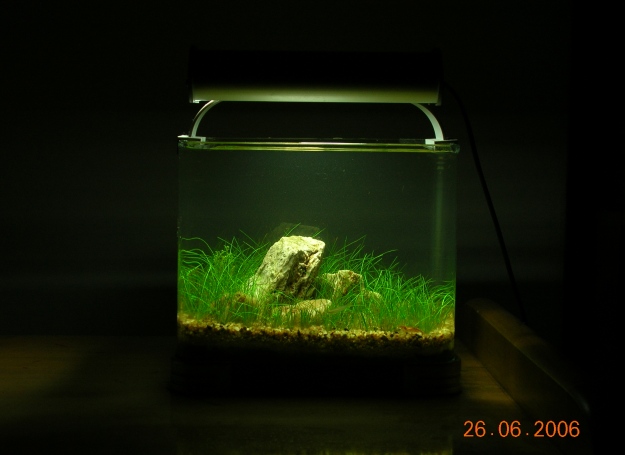 2 Liter Nano Tank Updates 260606