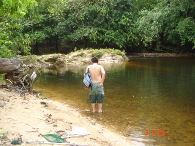 heaven for new fish (borneo)